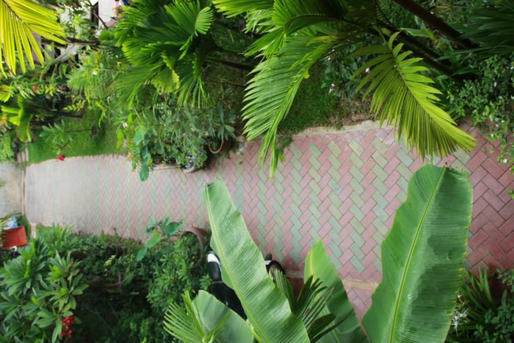 Jasmine Family Hostel Siem Reap Buitenkant foto